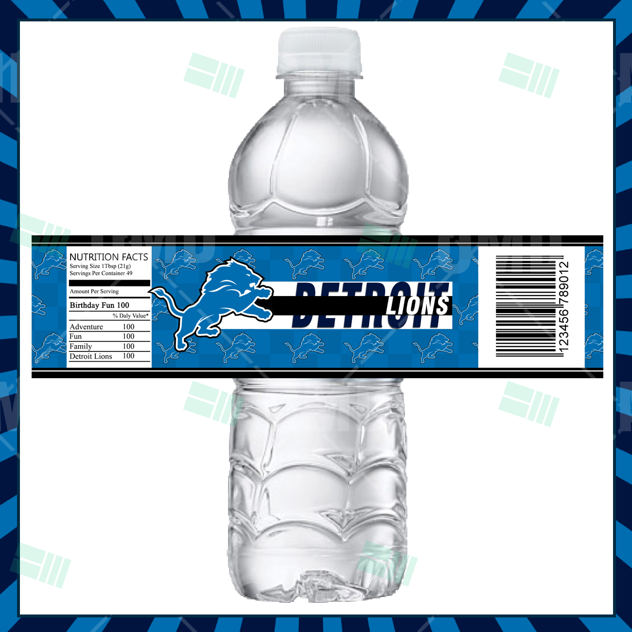Detroit Lions NFL Home Field Hydration 25 oz Bottle